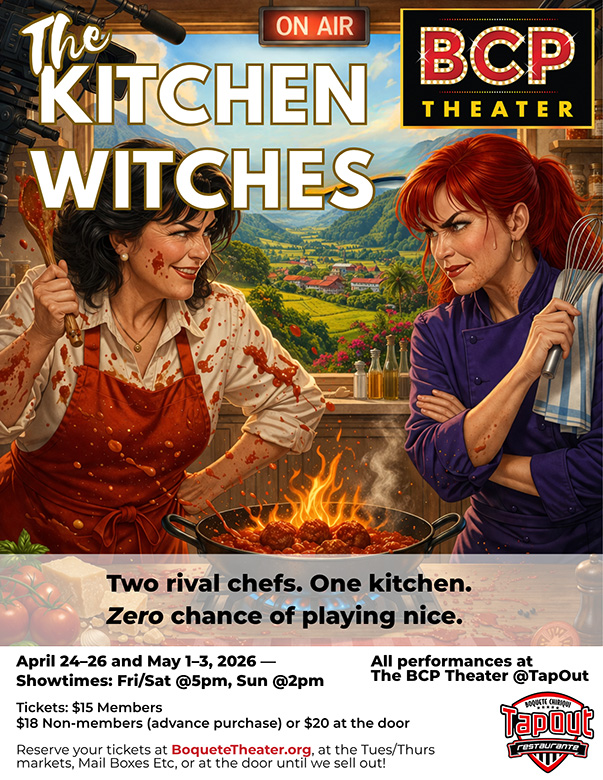 Witches Poster w details